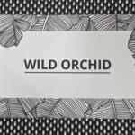Sponsor: Wild Orchid